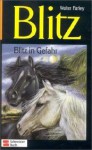 Blitz in Gefahr (Blitz, #11) - Walter Farley, Marga Ruperti