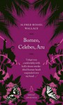Borneo, Celebes, Aru - Alfred Russel Wallace