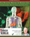 The Modern Scholar: The Building Blocks of Human Life: Understanding Mature Cells and Stem Cells - John K. Young