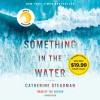 Something in the Water - Catherine Steadman