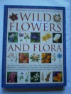 Wild Flowers and Flora (An Illustrated Identifier and Encyclopedia) - Mick Lavelle