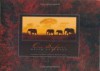 On Safari - David Anderson