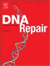 Psoralen-sensitive mutant pso9-1 of Saccharomyces cerevisiae contains a mutant allele of the DNA damage checkpoint gene MEC3 [An article from: DNA Repair] - J.M. Cardone, L.F. Revers, R.M. Machado, Bonatto