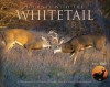 Journey With The Whitetail - Mark Raycroft