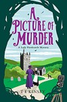 A Picture Of Murder - T E Kinsey