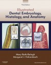 Illustrated Dental Embryology, Histology, and Anatomy - Margaret Fehrenbach, Mary Bath-Balogh