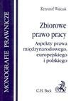 Zbiorowe prawo pracy : aspekty prawa międzynarodowego, europejskiego i polskiego - Krzysztof. Walczak