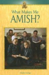 What Makes Me Amish? - Charles George