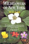 Wildflowers of New York in Color - William K. Chapman, Alan E. Bessette, Arleen Rainis Bessette