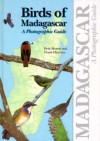 Birds Of Madagascar: A Photographic Guide - Peter Morris