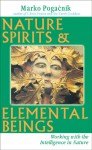 Nature Spirits & Elemental Beings - Marko Pogacnik