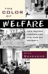 The Color of Welfare: How Racism Undermined the War on Poverty - Jill Quadagno