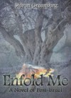 Enfold Me - A Novel of Post-Israel - Steven Greenberg