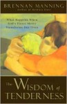 The Wisdom of Tenderness: What Happens When God's Fierce Mercy Transforms Our Lives - Brennan Manning