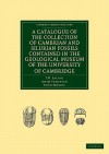 A Catalogue of the Collection of Cambrian and Silurian Fossils Contained in the Geological Museum of the University of Cambridge - J.W. Salter, Adam Sedgwick, John Morris