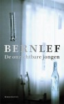 De onzichtbare jongen - J. Bernlef