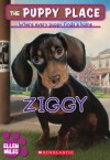 Ziggy (The Puppy Place Series) - Ellen Miles