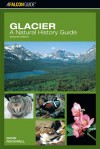 Glacier: A Natural History Guide, 2nd - David Rockwell