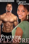 Practicing Pleasure - A Sexy Interracial BWWM Office Sex Erotic Story from Steam Books - Steam Books, Marcus Williams