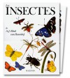 Les Insectes - Various