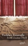 Zwölf Gramm Glück (German Edition) - Feridun Zaimoglu