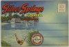 Silver Springs (1947 Souvenir Florida Postcard Folder) #D-8487 - Henry Flagler