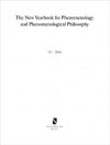 The New Yearbook for Phenomenology and Phenomenological Philosophy: Volume VI - Burt Hopkins, Steven Galt Crowell