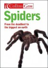 Spiders - Paul Hillyard