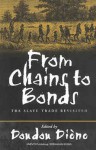 From Chains to Bonds: The Slave Trade Revisited - Doudou Diene