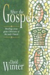 After the Gospels: Readings from Great Christians of the Early Church - David Winter