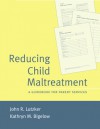 Reducing Child Maltreatment: A Guidebook for Parent Services - John R. Lutzker, Kathryn M. Bigelow