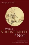 What Christianity Is Not: An Exercise in "Negative" Theology - Douglas John Hall