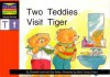 Two Teddies Visit Tiger - Elizabeth Love