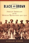 Black and Brown - Gerald Horne