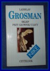 Sklep przy głównej ulicy - Ladislav Grosman