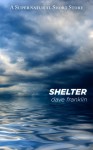 Shelter - Dave Franklin