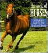 World of Horses - Lesley Eccles