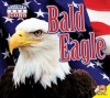 Bald Eagle with Code - Kaite Goldsworthy