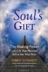 Your Soul's Gift: The Healing Power of the Life You Planned Before You Were Born - Robert Schwartz