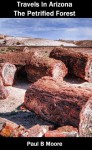 Travels In Arizona - The Petrified Forest - Paul Moore