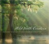 Wild North Carolina: Discovering the Wonders of Our State's Natural Communities - David Blevins, Michael Paul Schafale