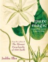 Pure Magic: A Complete Course in Spellcasting - Judika Illes