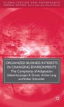 Organized Business Interests in Changing Environments: The Complexity of Adaptation - Jürgen R. Grote, Volker Schneider, Achim Lang