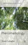 Phenomenology - Shaun Gallagher