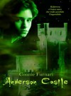  Anderson Castle - Connie Furnari 