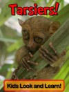 Tarsiers! Learn About Tarsiers and Enjoy Colorful Pictures - Look and Learn! (50+ Photos of Tarsiers) - Becky Wolff