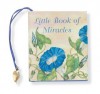Little Book of Miracles (Mini Book, Scripture) (Petites) - Sarah M. Hupp
