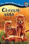 Cheetah Cubs - Ginjer L. Clarke, Lucia Washburn