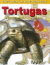 Tortugas: Por Dentro y Por Fuera - Gillian Houghton, Studio Stalio, Tomás González