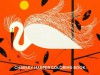 Charley Harper Coloring Book - Charley Harper